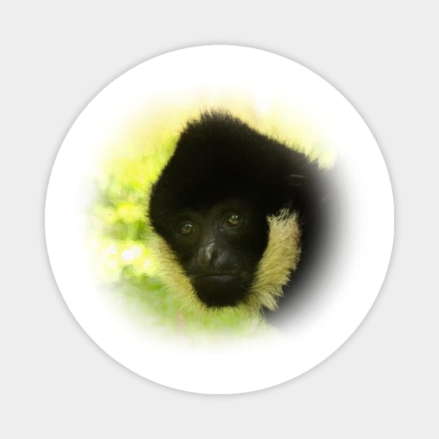 Gibbon portrait Magnet by Guardi